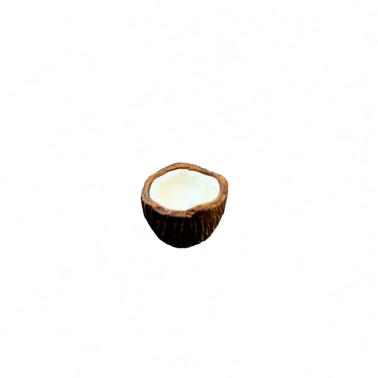 jofuly-resin-half-coconut-fridge-magnet-dark-brown-1