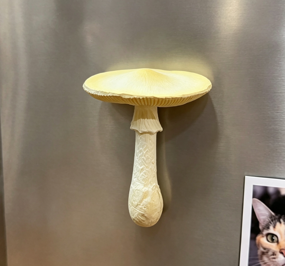 Jofuly-22jofuly-resin-mushroom-fridge-magnet-beige-2