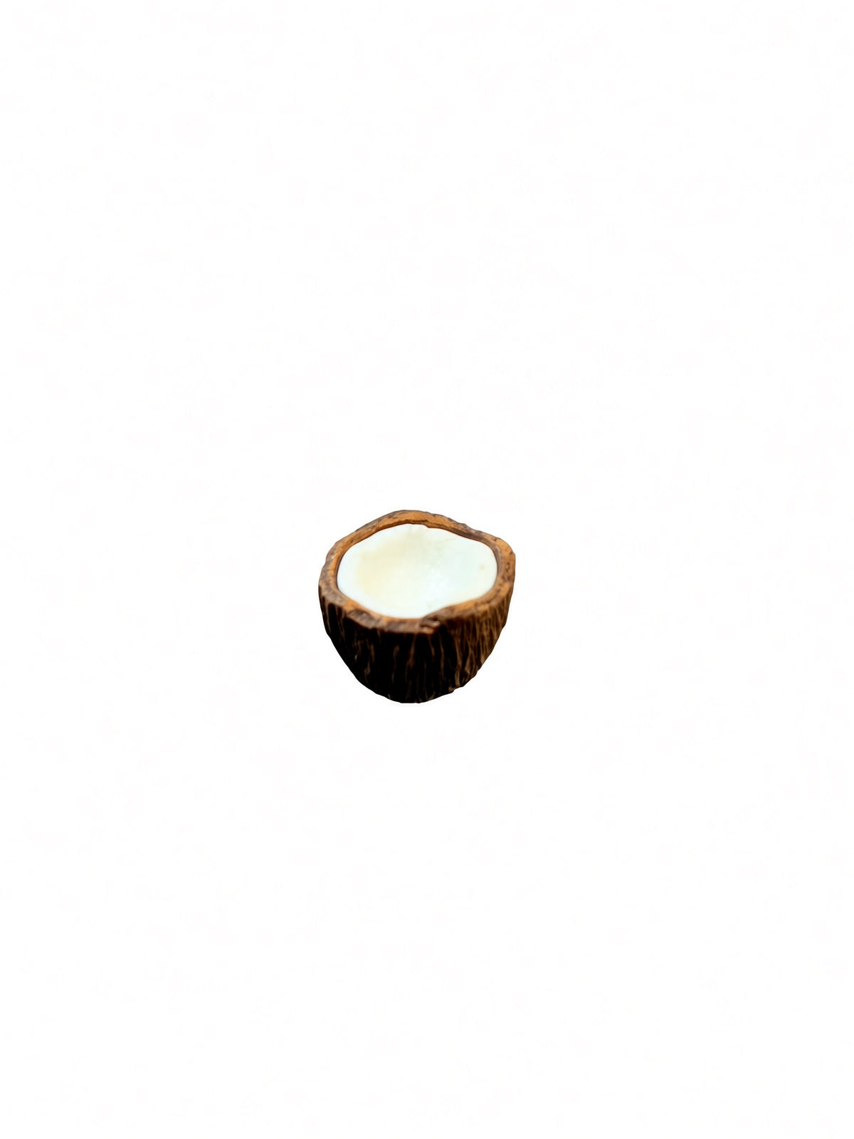 jofuly-resin-half-coconut-fridge-magnet-dark-brown-1