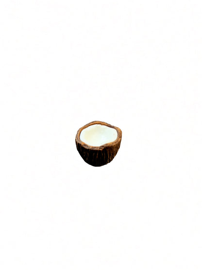 jofuly-resin-half-coconut-fridge-magnet-dark-brown-1