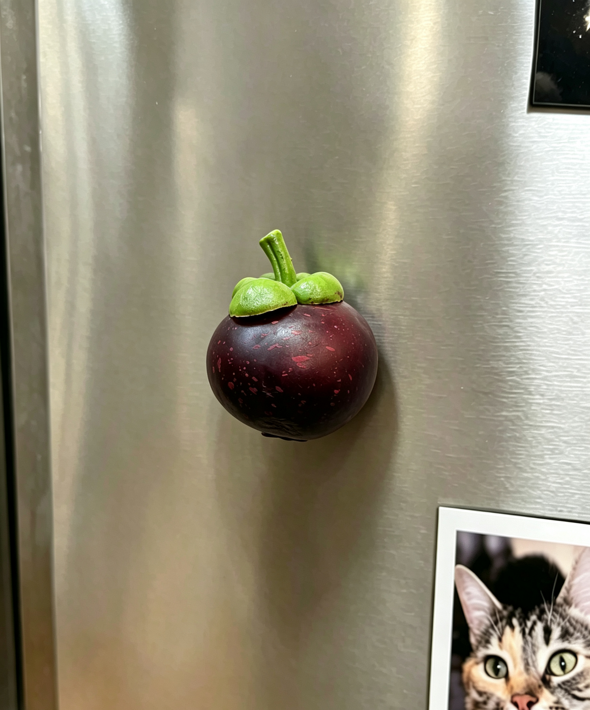 jofuly-resin-mangosteen-fridge-magnet-dark-purple-red-4