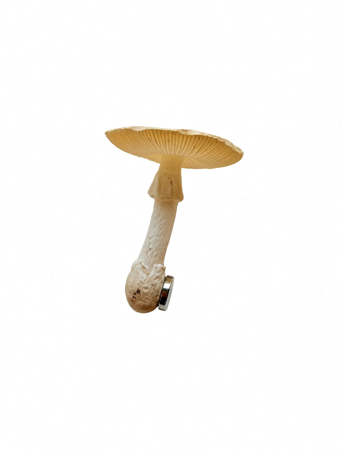 jofuly-resin-mushroom-fridge-magnet-beige